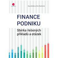 Company finance - Hana Scholleová