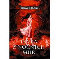 Dívka z nočních můr - Kendare Blake