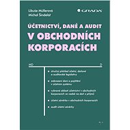 Accounting, Tax and Audit in Business Corporations - Michal Šindelář