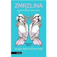 Zmrzlina s příchutí záměru - Olga Path Štiplová