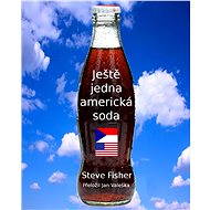 Ještě jedna americká soda - Stephen Fisher