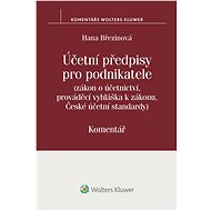 Účetní předpisy pro podnikatele. Komentář - Hana Březinová