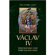 Václav VI. - Josef Bernard Prokop