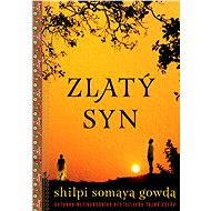 Zlatý sym - Shilpi Somaya Gowda