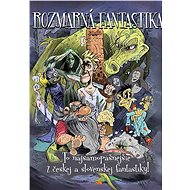 Whimsical fiction - kolektív autorov  Multiple authors