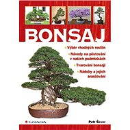 Bonsai - Petr Škvor