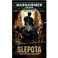 Slepota - Matthew Farrer