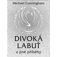 Divoká labuť a jiné příběhy - Michael Cunningham