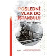 Poslední vlak do Istanbulu - Ayse Kulinová
