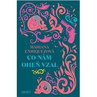 Co nám oheň vzal - Mariana Enriquezová