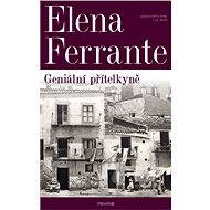 Genius girlfriend - Elena Ferrante