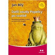 Další osudy Popelky po svatbě - Jan Bílý