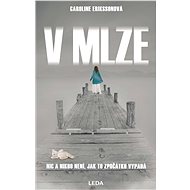 V mlze - Caroline Erikssonová