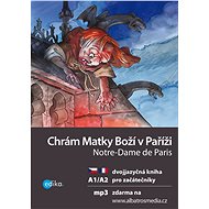 Chrám Matky Boží v Paříži A1/A2 - Lucie Konvičková