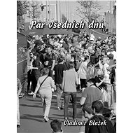 Pár všedních dnů - Vladimír Blažek
