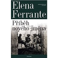 Genius Girlfriend 2 - The Story of a New Name - Elena Ferrante