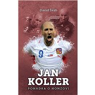 Jan Koller: pohádka o Honzovi - David Šváb