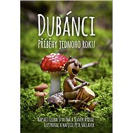 Dubánci - příběhy jednoho roku  - Petr Václavek