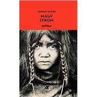 Malý strom - Forrest Carter