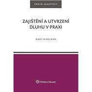 Zajištění a utvrzení dluhu v praxi - Martin Pelikán