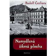 Namydlená šikmá plocha - Rudolf Čechura