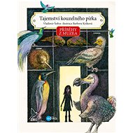 Příběhy z muzea. Tajemství kouzelného pírka - Vladimír Šoltys