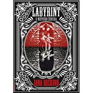 Labyrinth at the Dead Groom - MUDr. Jana Rečková
