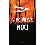 V bouřlivé noci - Roman Voosen