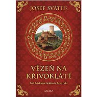 Prisoner at Křivoklát - Josef Svátek