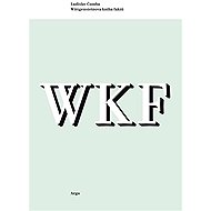 Wittgensteinova kniha faktů - Ladislav Čumba