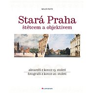 Old Prague - Miloš Fritz