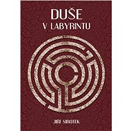 Duše v labyrintu - Jiří Sirotek