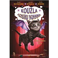 Kouzla vzhůru nohama - Sarah Mlynowski