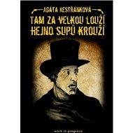 Tam za velkou louží hejno supů krouží - Agáta Kestřánková