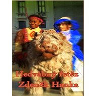 Hedvábný řetěz - Zdeněk Hanka