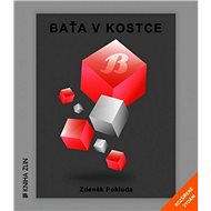 Baťa v kostce (rozšířené vydání) - Zdeněk Pokluda