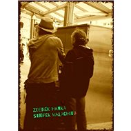 Střípek Malachitu - Zdeněk Hanka