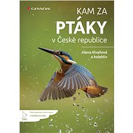 Where to see birds in the Czech Republic - kolektiv a