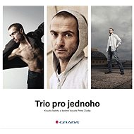 Trio for one - autorů kolektiv  Multiple authors
