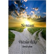 Na rozcestí - Vítězslav Říčka