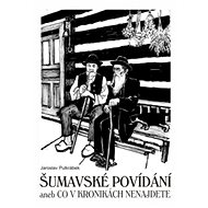 Šumavské povídání aneb Co v kronikách nenajdete - Jaroslav Pulkrábek