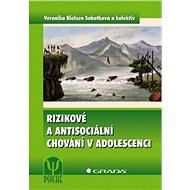 Risk and antisocial behaviour in adolescence - kolektiv a