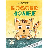 Josef the Cat - Lenka Rožnovská