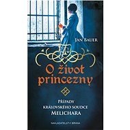 O život princezny - Jan Bauer