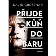 Přijde kůň do baru - David Grossman