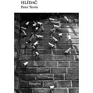 Hlídač - Peter Terrin