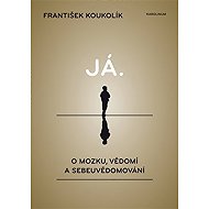 I. On the brain, consciousness and self-awareness - František Koukolík