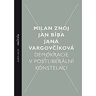 Democracy in a post-liberal constellation - Jan Bíba  Jana Vargovčíková  Milan Znoj