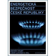 Energetická bezpečnost České republiky - Kol.  Libor Lukášek  Zdeněk Hrubý