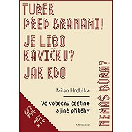 Vo vobecný češtině a jiné příběhy - Milan Hrdlička